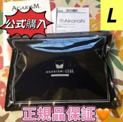 AGARISM×GYDA アップミースタイリングブラL ブラック j164