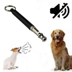 Item thumbnail for item b5f55d21-5a0e-4112-a701-7e0331691ba2