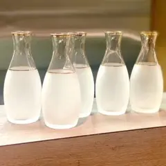 Item thumbnail for item 56c4f07d-0c11-4dd8-90ac-774b8a4cb9ca