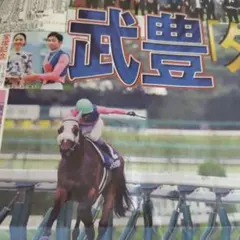 スペシャルウィーク　武豊　天皇賞秋　競走馬　写真　パネル　額縁　スポーツ新聞付き スペシャルウィーク 武豊 天皇賞秋 競走馬 写真 パネル 額縁