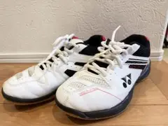 Item thumbnail for item e91ad622-b288-4310-ad9c-206ca79f8940