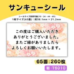 新・T6010／ケアシール 65面×4シート／サンキュー 宛名 おまけ