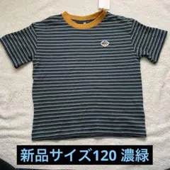 しまむら キッズ ストライプ 半袖Tシャツ 120 新品 男の子 12 濃緑