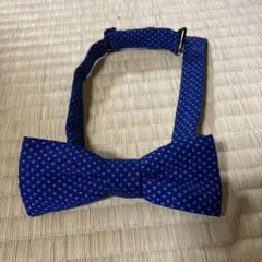 Item thumbnail for item c309f3a0-8058-47e1-9741-698713a073fd