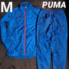 Item thumbnail for item f0ffd4ef-3b36-4ce9-a94d-cce729993fef