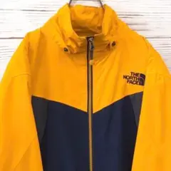 《希少カラー》ザノースフェイス THENORTHFACE☆マウンテンパーカー L