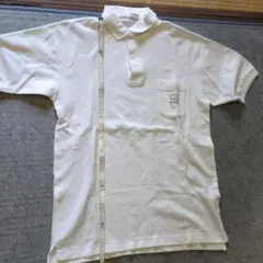 Item thumbnail for item 6b4b706f-72fb-4588-a976-c0ed41157d0e