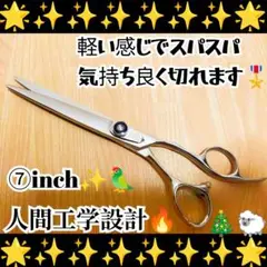 Item thumbnail for item 47d28846-004f-40ee-95d3-4f139cd4d539