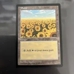 Plains/平地 APACランド ひまわり