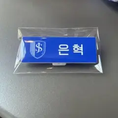SMTOWN 2025 ランダムネームバッジ ウニョク