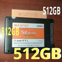 ③　SUNEAST SE800 SSD 512GB
