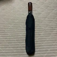 PARACHASE (パラチェイス) 折りたたみ傘 大きい 自動開閉 140CM