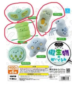 微生物ぬいぐるみ 3点セット