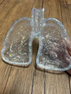 肺の灰皿