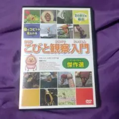 DVD こびと観察入門 傑作選 モモ ハナ シボリ ケダマ編
