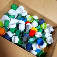 ペットボトル　キャップ