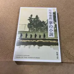 掌の小説
