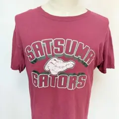 （即日発送）フルーツオブザルーム プリントtシャツ コットンus古着 H-97