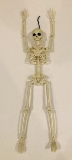 新品　未使用　人体模型　リアル　ガイコツ　骸骨　キーホルダー