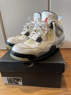 Air Jordan 4 GOLF 28.0cm