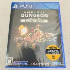 新品未使用　 ENDLESS DUNGEON LAST WISH EDITION