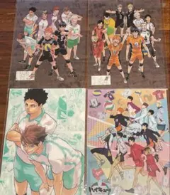 ハイキュー クリアファイル 5枚セット 原画展 ハイキュー展