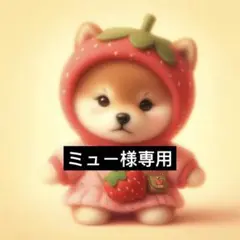 専用ページ