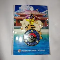 新品未開封　ポケモンセンターオキナワ　ロゴピンズ　沖縄限定