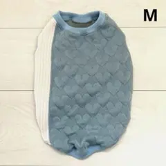 Item thumbnail for item 7995cf91-3a38-49c7-97dc-be61b0884143