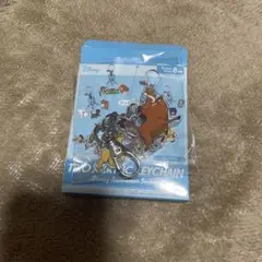 ディズニー Disney トリオアクリルキーチェーン ライオンキング