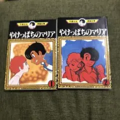 やけっぱちのマリア