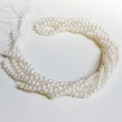 淡水パール ポテト　2.5〜3mm