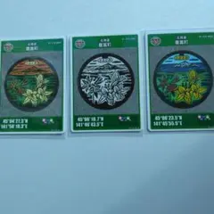 Item thumbnail for item 75a88d38-067f-4d45-8184-cc49677c651b