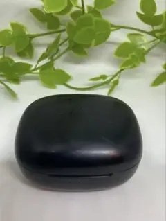 Item thumbnail for item 1b920963-5389-480d-863d-3d452adcb2cc