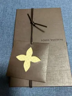 ルイヴィトン、ヴェルニ財布