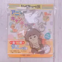 ハイキュー展　アニマルアクリルキャンディチャーム　赤葦