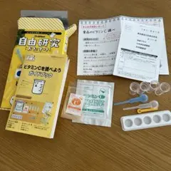 夏休み自由研究キッド