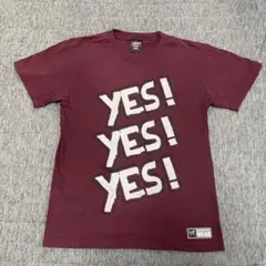 WWE ダニエル・ブライアン YES! Tシャツ DANIEL BRYAN