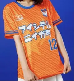 アイシテルニイガタ　アルビレックス新潟　Ｌ　応援シャツ　ユニフォーム