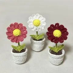 あみぐるみ ミニ観葉植物 セット