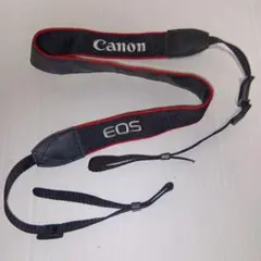 Item thumbnail for item 02fd5e98-29b5-4ad1-9fdd-8c8618c7971f