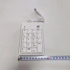 USB ホワイト テンキー