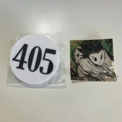 冨樫義博展 HUNTER×HUNTER ナンバープレート&ステッカー ゴン