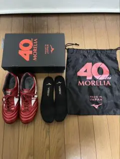 Item thumbnail for item 5b63bf3a-c346-49d8-98d2-e354cb0422d9