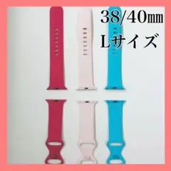 Lサイズ✨3色セット✨Apple Watch 互換 バンド 替え 38 40