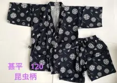 甚平120 カブトムシ　クワガタ