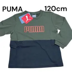 Item thumbnail for item 1988c8f6-77e7-4767-a902-42c2c38428ec