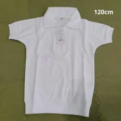ヒラキ　体操服120cm 半袖