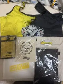 サンロッカーズ渋谷 ファンクラブグッズ