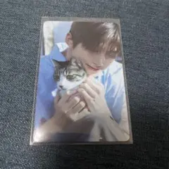 TWS はじめまして ポップアップ ジフン トレカpopup ラントレ 05 猫